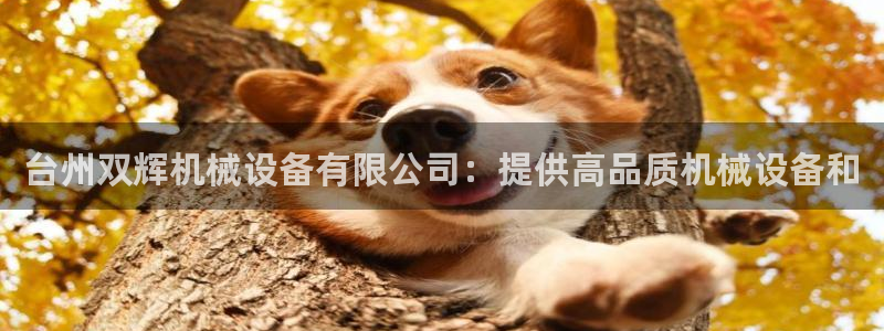 九游会集团 | 首页
