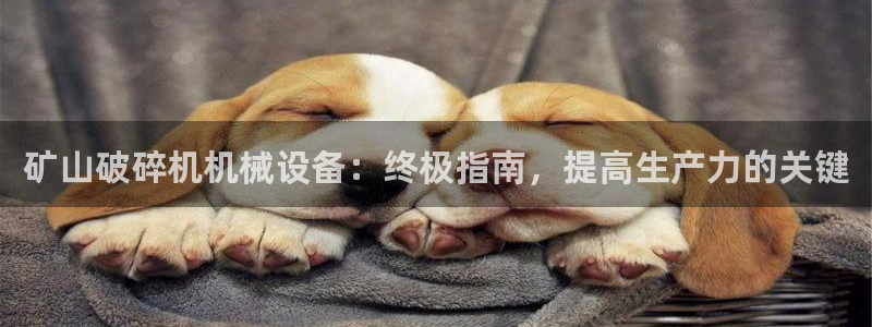 ag九游会j9