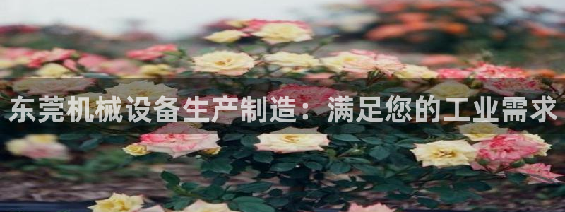 九游j9官网