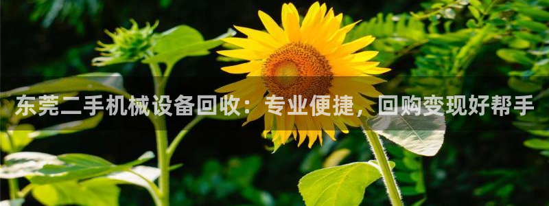 九游会官方网站登陆