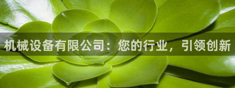 j9p下载