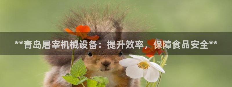 j9九游会vip