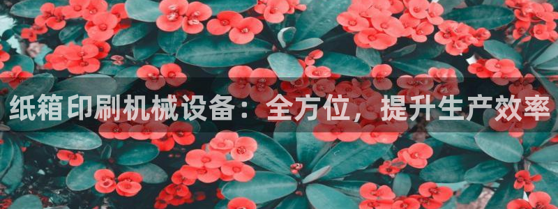 九游会官方网站登录