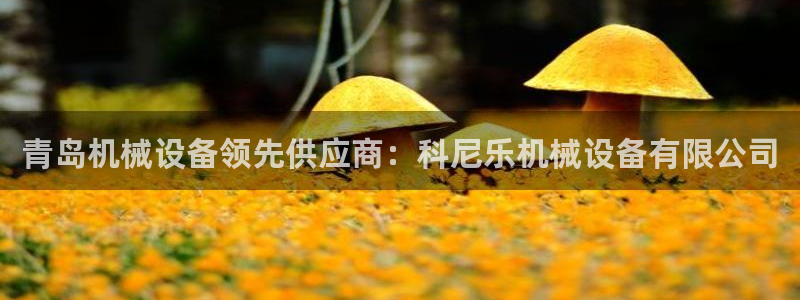 九游会 ag