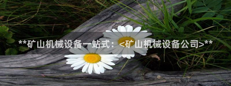 j9p下载