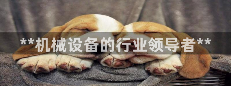 九游会老哥必备的交流社区