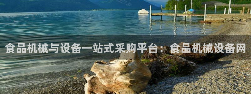 j9九游会备用网址