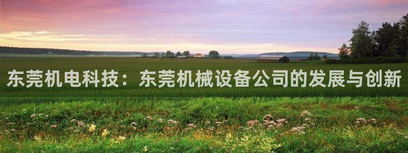 九游会官网页：东莞机