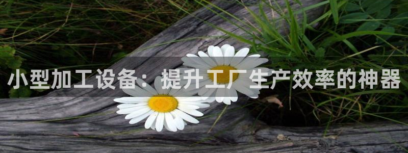 九游会ag登陆