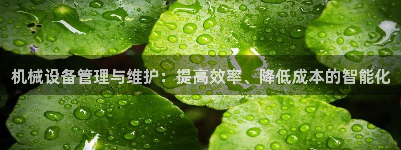 九游会国际厅登录 - j9九游会首页登录新版