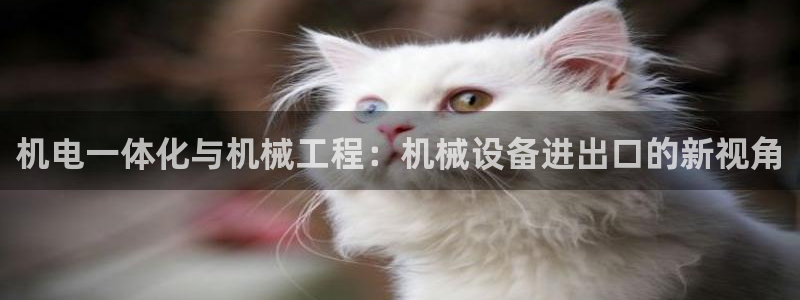 9游会老哥俱乐部
