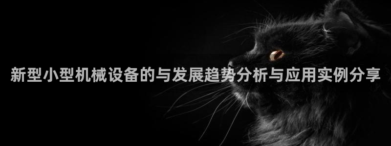 九游会官网真人认证吗