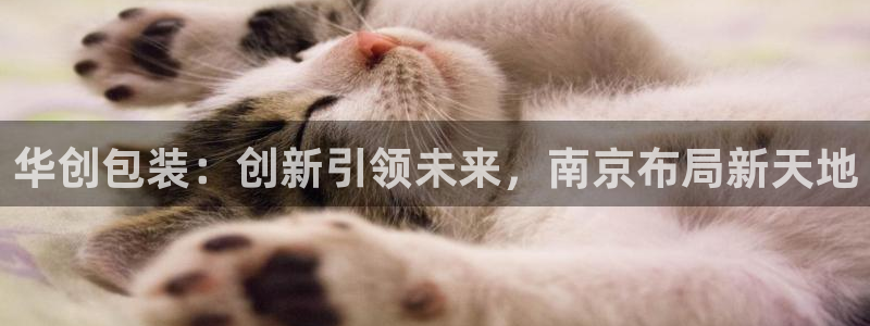 九游会游戏网址