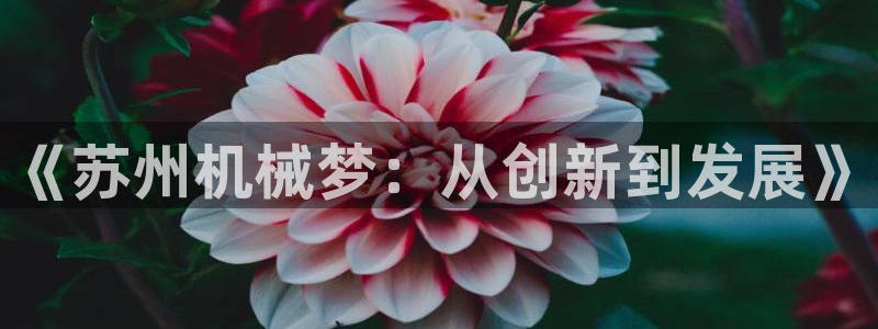 九游会ag登入