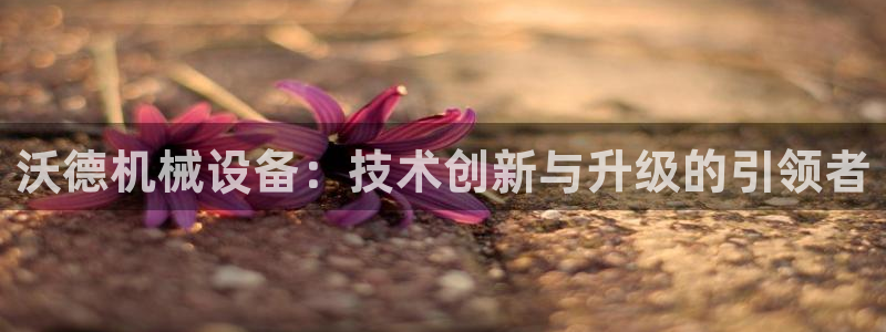 j9九游会app下载