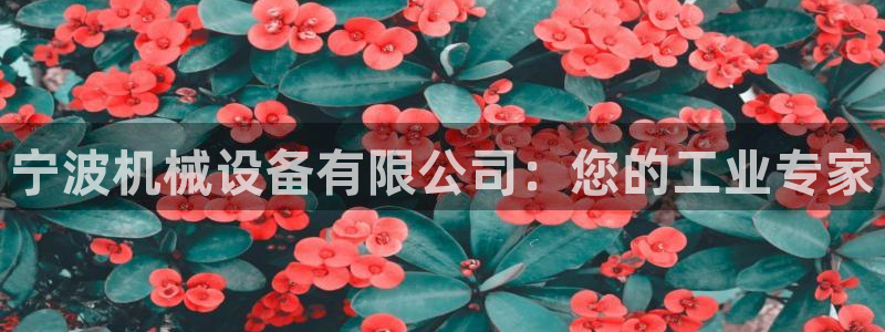 九游会是什么