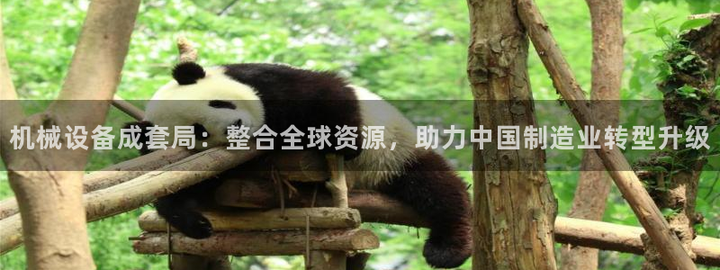 九游会ag官方网站