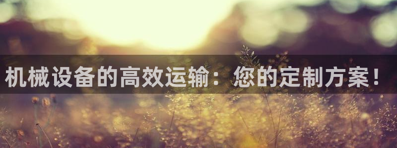 九游j9国际站官方网站