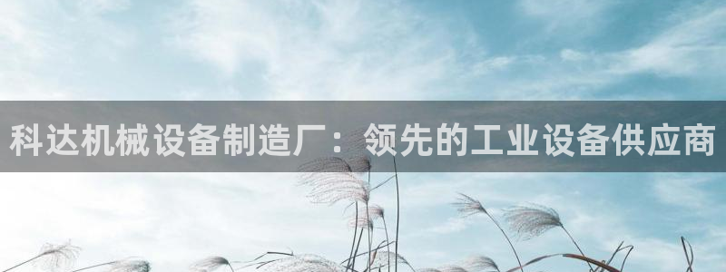 j9九游会app官网下载