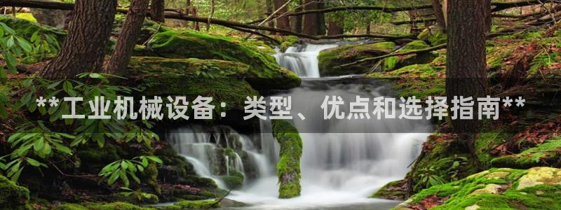 九游会AG登录：**