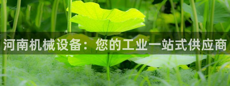 九游会官网登录首页